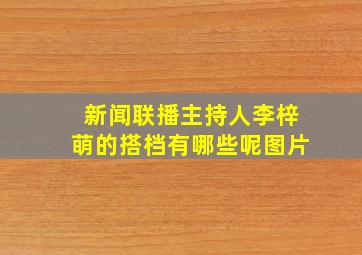 新闻联播主持人李梓萌的搭档有哪些呢图片