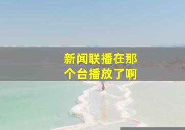 新闻联播在那个台播放了啊