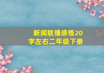 新闻联播感悟20字左右二年级下册