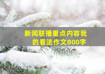 新闻联播重点内容我的看法作文800字