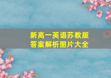 新高一英语苏教版答案解析图片大全