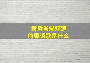 新鸳鸯蝴蝶梦的粤语歌是什么