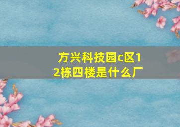 方兴科技园c区12栋四楼是什么厂