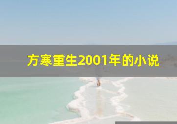 方寒重生2001年的小说