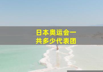 日本奥运会一共多少代表团