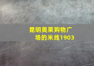 昆明奥莱购物广场的米线1903