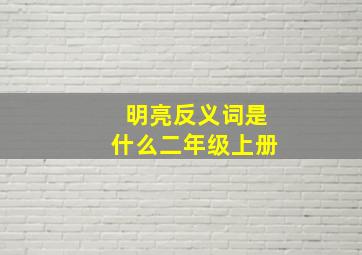 明亮反义词是什么二年级上册