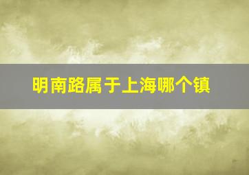 明南路属于上海哪个镇