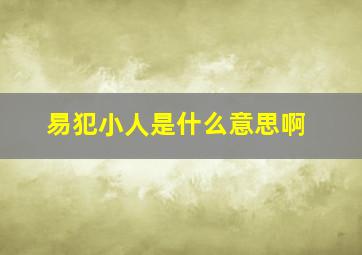 易犯小人是什么意思啊