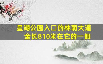 星湖公园入口的林荫大道全长810米在它的一侧