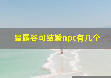 星露谷可结婚npc有几个