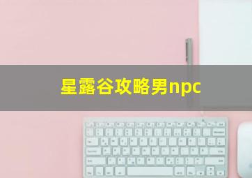 星露谷攻略男npc