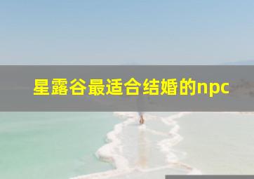 星露谷最适合结婚的npc