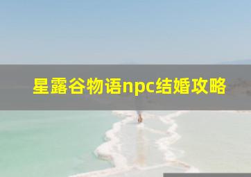 星露谷物语npc结婚攻略