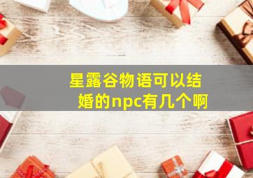 星露谷物语可以结婚的npc有几个啊