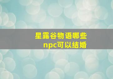 星露谷物语哪些npc可以结婚