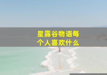 星露谷物语每个人喜欢什么