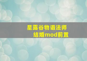 星露谷物语法师结婚mod前置