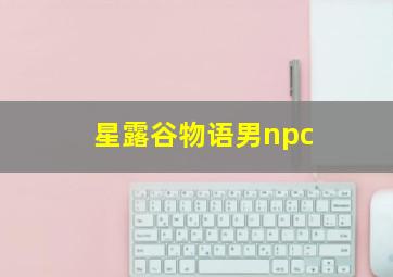 星露谷物语男npc