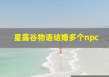 星露谷物语结婚多个npc