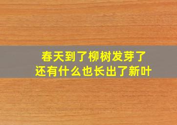 春天到了柳树发芽了还有什么也长出了新叶