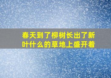 春天到了柳树长出了新叶什么的草地上盛开着