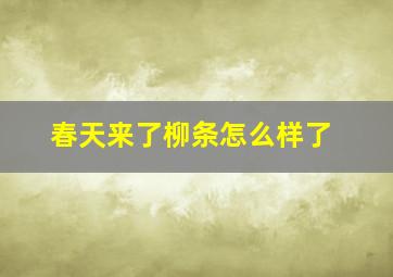 春天来了柳条怎么样了