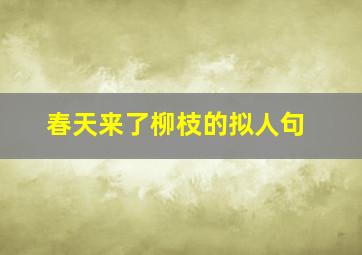 春天来了柳枝的拟人句