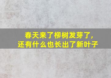 春天来了柳树发芽了,还有什么也长出了新叶子