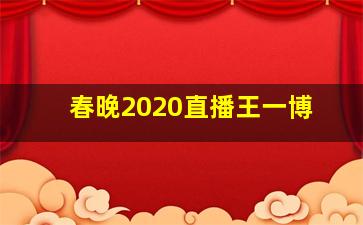 春晚2020直播王一博