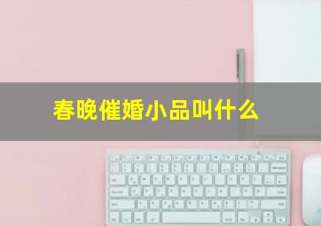 春晚催婚小品叫什么