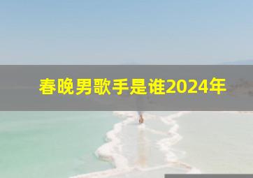 春晚男歌手是谁2024年