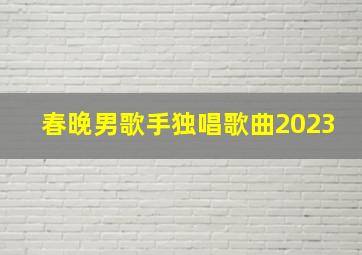 春晚男歌手独唱歌曲2023