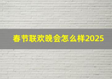 春节联欢晚会怎么样2025