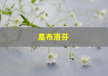 是布洛芬