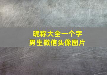 昵称大全一个字男生微信头像图片