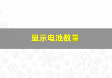 显示电池数量