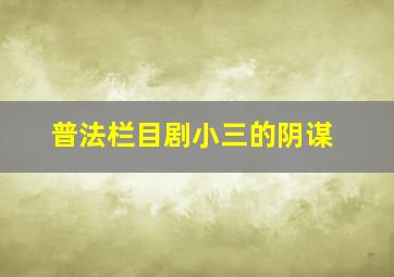 普法栏目剧小三的阴谋