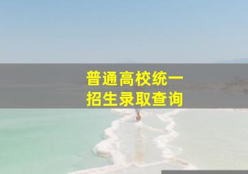 普通高校统一招生录取查询