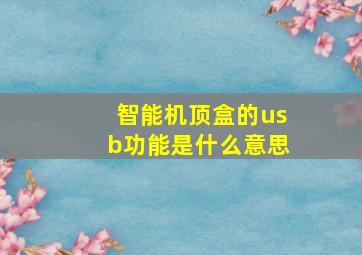 智能机顶盒的usb功能是什么意思