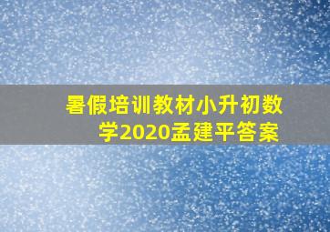 暑假培训教材小升初数学2020孟建平答案