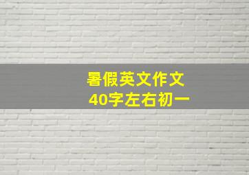 暑假英文作文40字左右初一