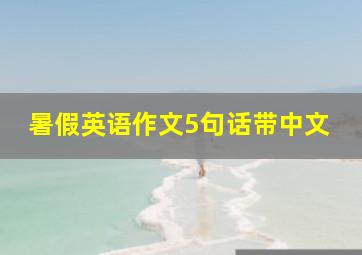 暑假英语作文5句话带中文