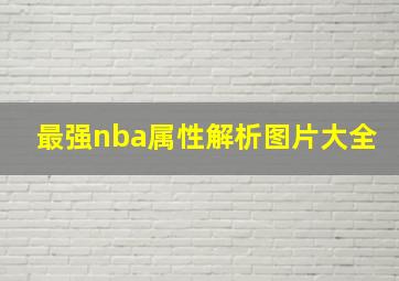 最强nba属性解析图片大全