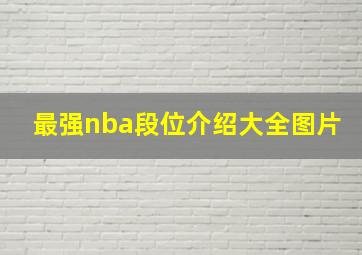 最强nba段位介绍大全图片