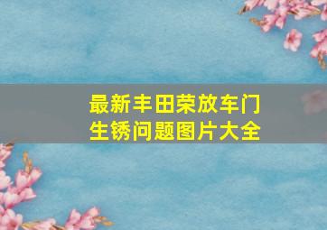 最新丰田荣放车门生锈问题图片大全