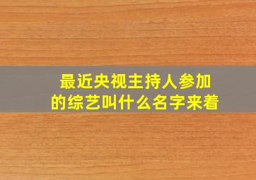 最近央视主持人参加的综艺叫什么名字来着