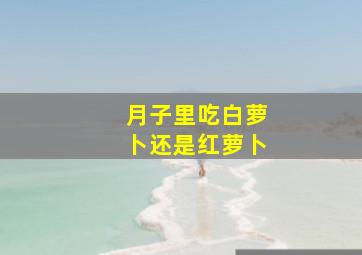 月子里吃白萝卜还是红萝卜