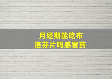 月经期能吃布洛芬片吗感冒药