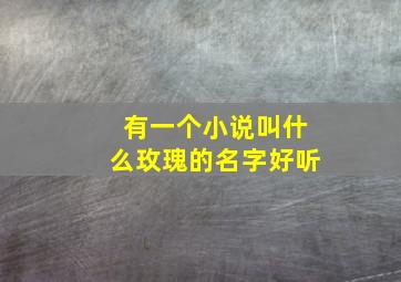 有一个小说叫什么玫瑰的名字好听